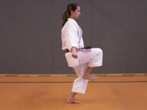 Mae Geri2